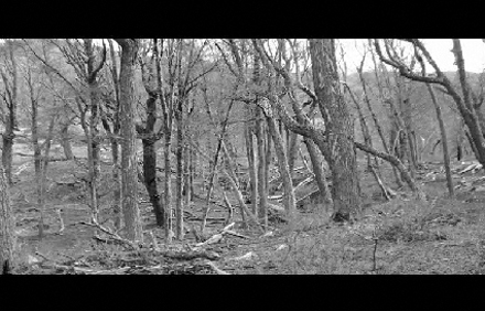 No.012_Verónica Zondek