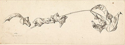 defensa-34-1.jpg
