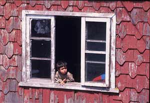 defensa-nino-ventana.jpg