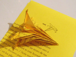 alterpoesia-1a.jpg