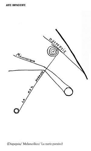 parachoques-picabia3.jpg