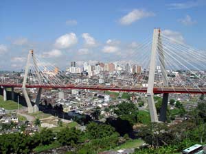criticon-pereira-viaducto.jpg