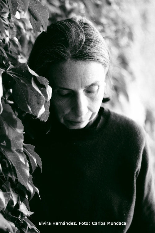 No.101_Encuestas – Elvira Hernández